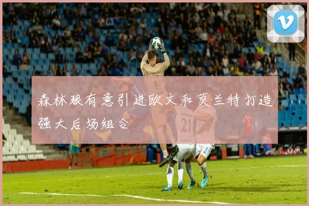 森林狼有意引进欧文和莫兰特打造强大后场组合